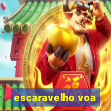 escaravelho voa