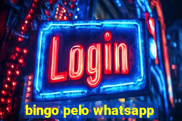 bingo pelo whatsapp