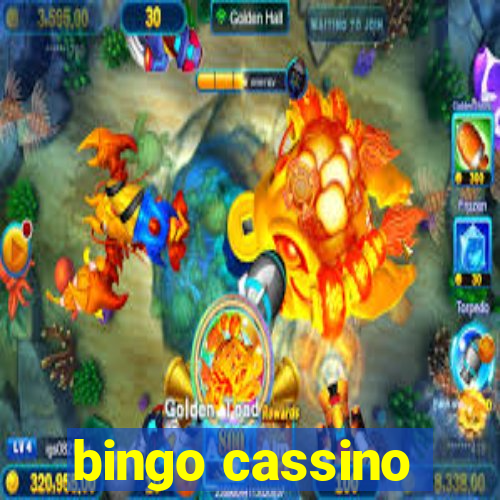 bingo cassino