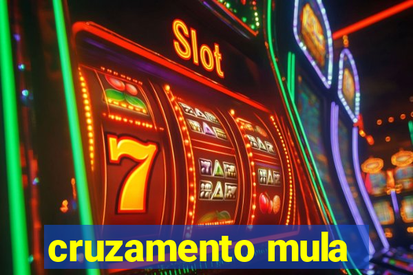 cruzamento mula