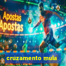 cruzamento mula