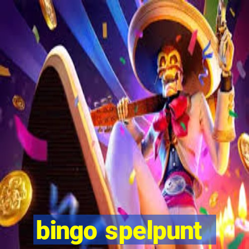 bingo spelpunt