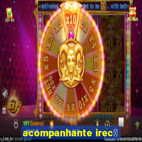 acompanhante irec锚