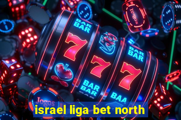 israel liga bet north