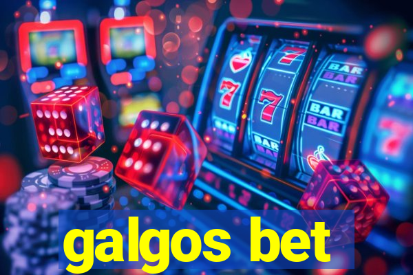 galgos bet