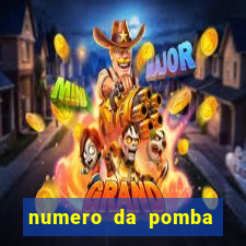 numero da pomba jogo do bicho