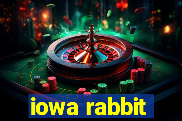 iowa rabbit