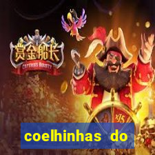 coelhinhas do brasil jp