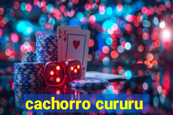 cachorro cururu