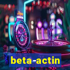 beta-actin