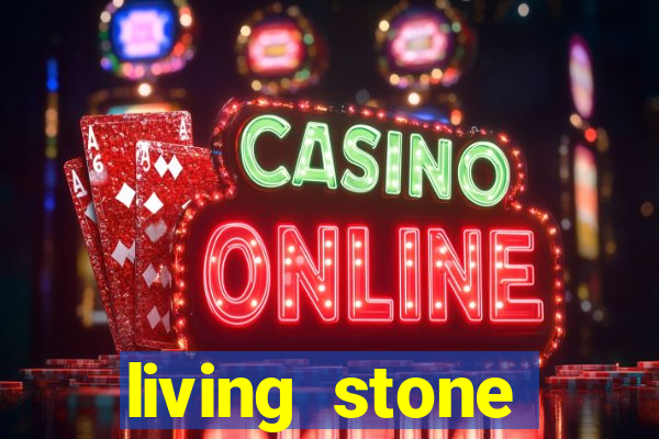 living stone network tv