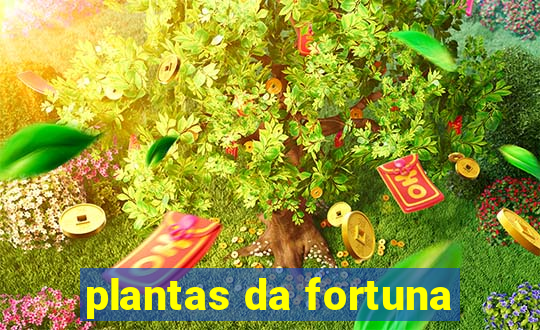 plantas da fortuna