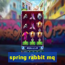 spring rabbit mq