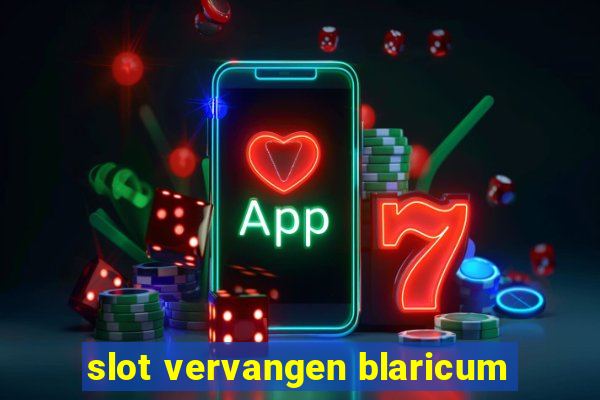 slot vervangen blaricum