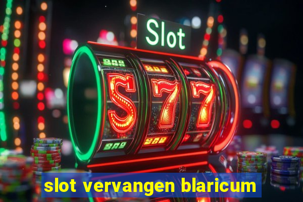 slot vervangen blaricum