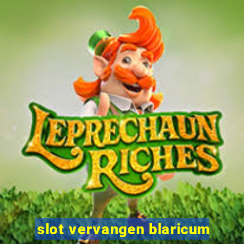 slot vervangen blaricum