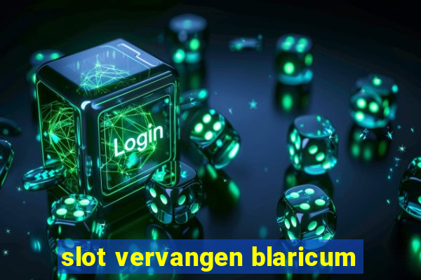 slot vervangen blaricum