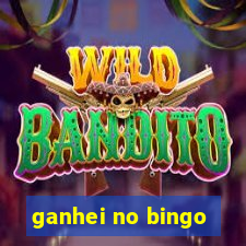 ganhei no bingo