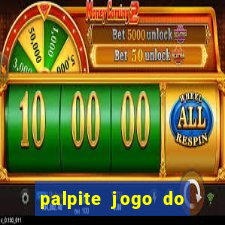 palpite jogo do bicho coruja