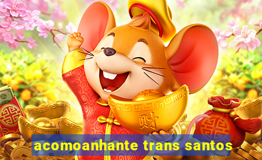 acomoanhante trans santos