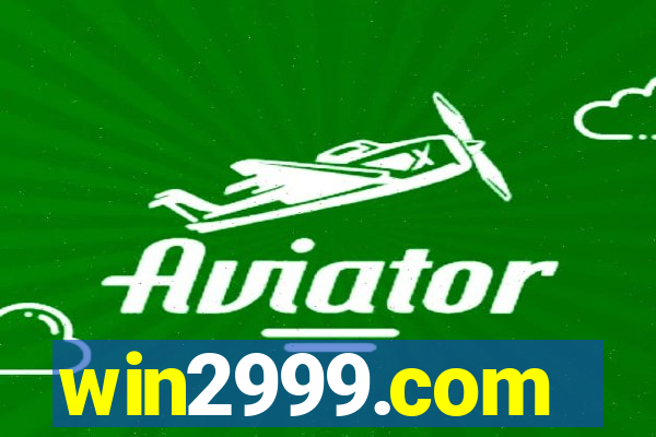 win2999.com