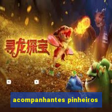 acompanhantes pinheiros