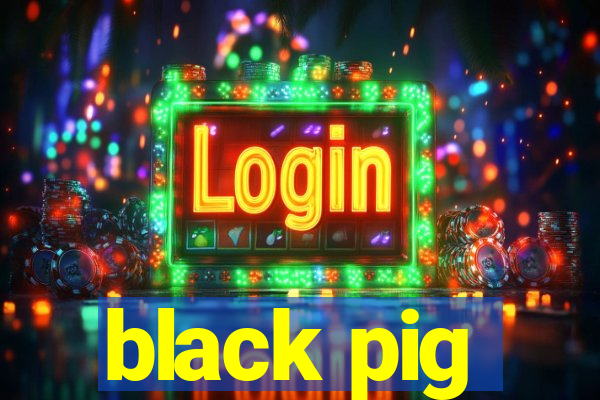 black pig