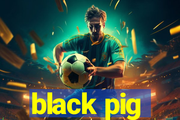 black pig