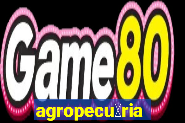 agropecu谩ria jaragua do sul