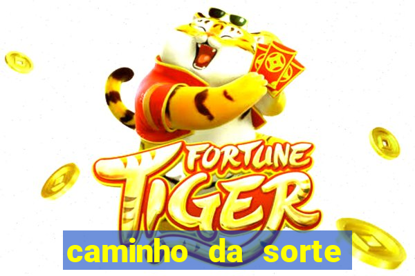 caminho da sorte esporte net