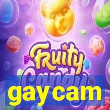 gaycam