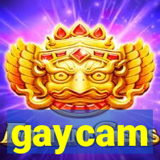 gaycam