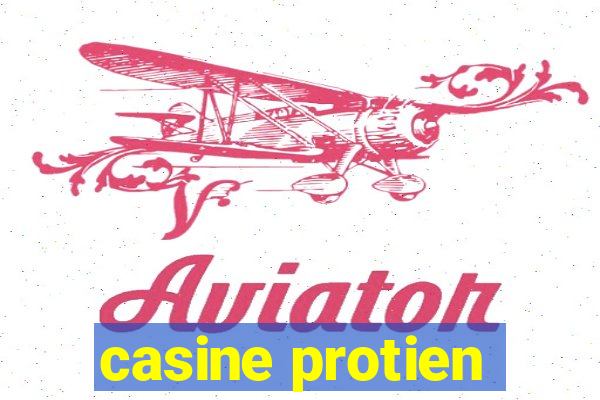 casine protien