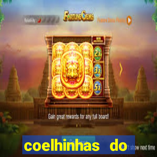 coelhinhas do brasil recife