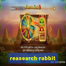 reasearch rabbit