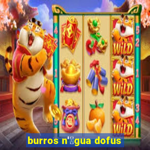 burros n'谩gua dofus