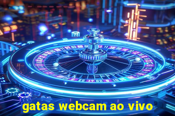 gatas webcam ao vivo