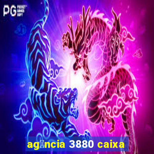 ag锚ncia 3880 caixa