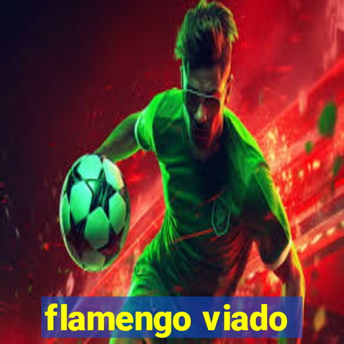 flamengo viado