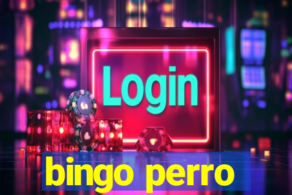 bingo perro