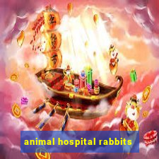 animal hospital rabbits