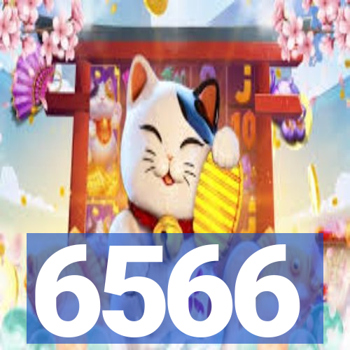 6566