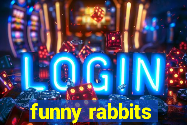 funny rabbits