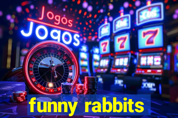 funny rabbits