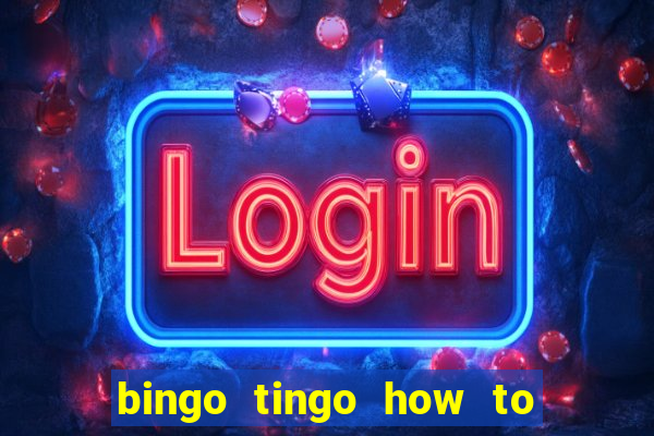 bingo tingo how to use canva