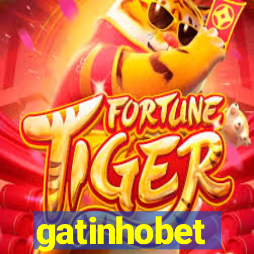 gatinhobet