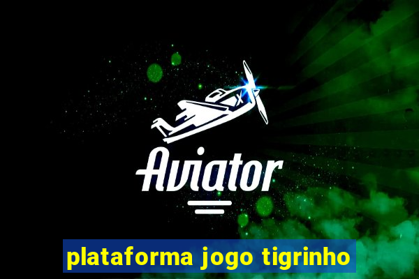 plataforma jogo tigrinho