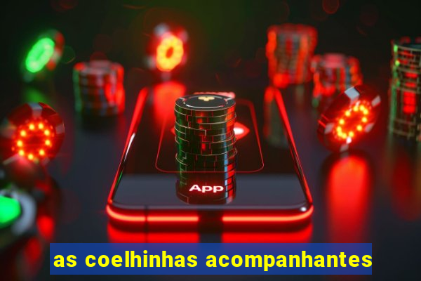 as coelhinhas acompanhantes