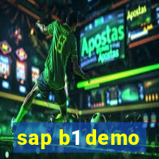 sap b1 demo