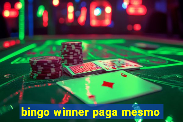 bingo winner paga mesmo